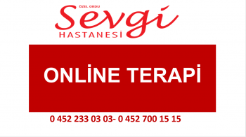 online terapi
