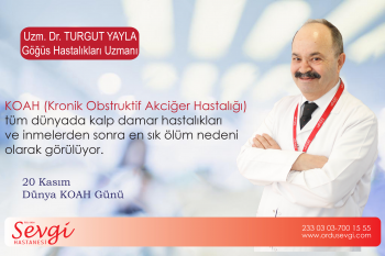 dünya koah günü